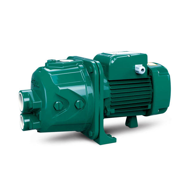 Risefull 0.5hp-1.5hp(DP Style)Standard Electric Household Deep-well Water Pump