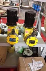 Mechanical Diaphragm Metering Pump