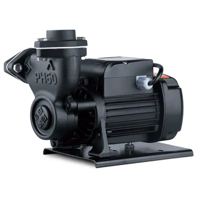 Cast Iron Pump Body High Temperature Thermal Oil Electric Water Pump