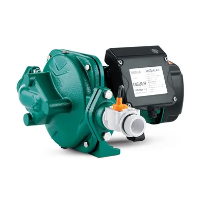 Risefull Premium Smart Automatic in Line Electric Centrifugal Water Pumps for Downward Booster
