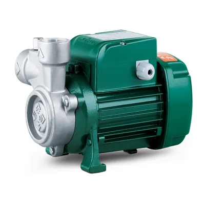 Risefull Premium Stainless Steel Electric Peripheral Water Pump